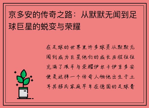 京多安的传奇之路：从默默无闻到足球巨星的蜕变与荣耀